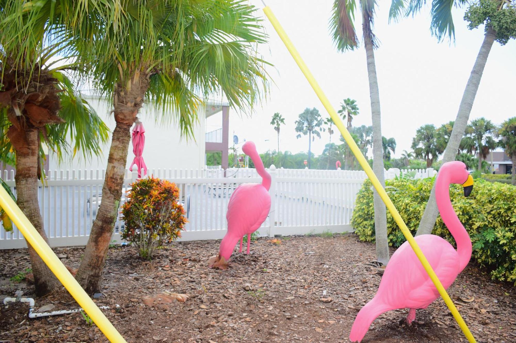 Flamingo Motel Okeechobee Exterior foto